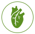 Ikona Badania kardiologiczne