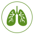 Ikona Płuco