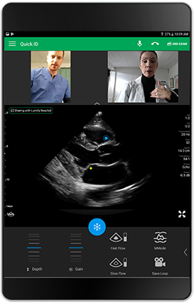 Zintegrowane rozwiązanie telemedyczne do ultrasonografii w czasie rzeczywistym