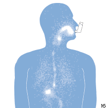 Tylko inhalator