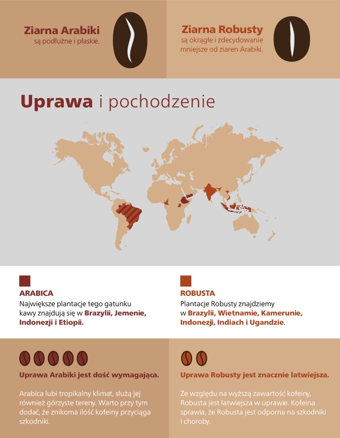 Najwięksi producenci kaw arabica i robusta na świecie i ich lokalizacja.
