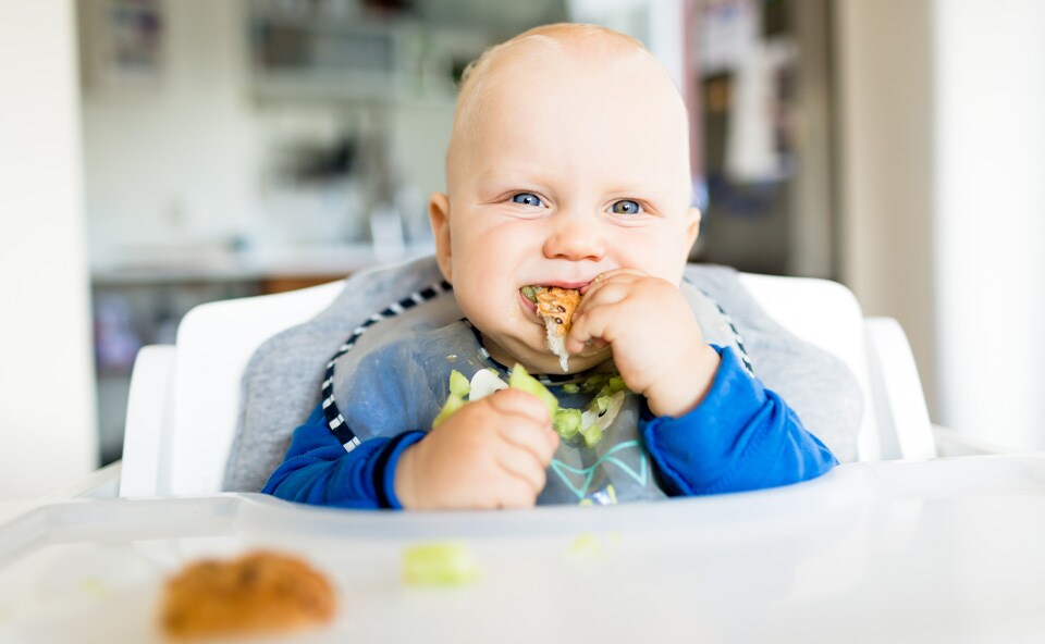 Nazwa metody BLW pochodzi od angielskich słów „Baby-Led Weaning”.