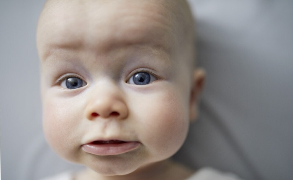 Każdy niemowlak ma przynajmniej kilka ciemiączek.