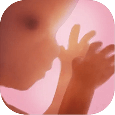 Aplikacja do monitorowania ciąży "Ciąża+"